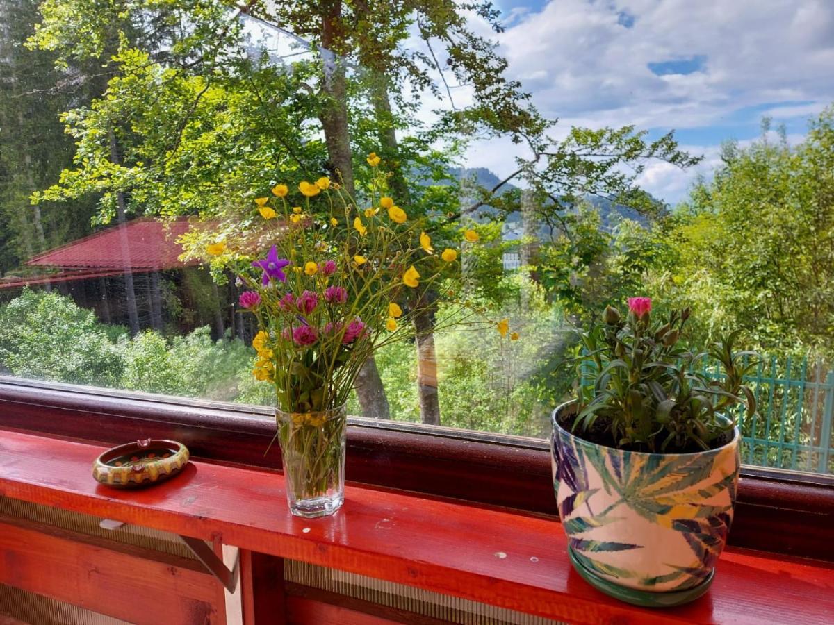 Casa De Vacanta Pârâul Rece Buitenkant foto