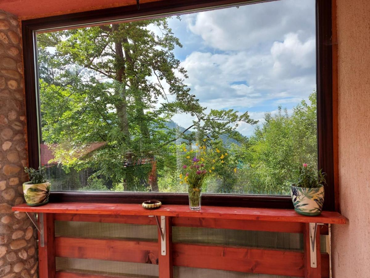 Casa De Vacanta Pârâul Rece Buitenkant foto