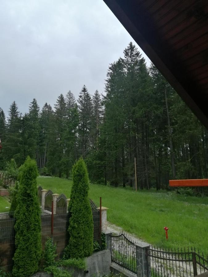Casa De Vacanta Pârâul Rece Buitenkant foto