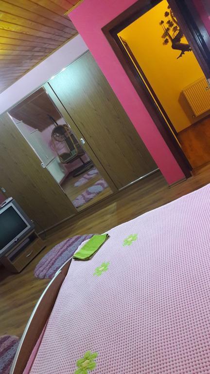Casa De Vacanta Pârâul Rece Buitenkant foto