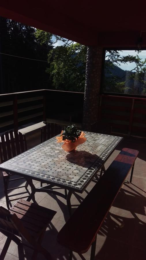 Casa De Vacanta Pârâul Rece Buitenkant foto