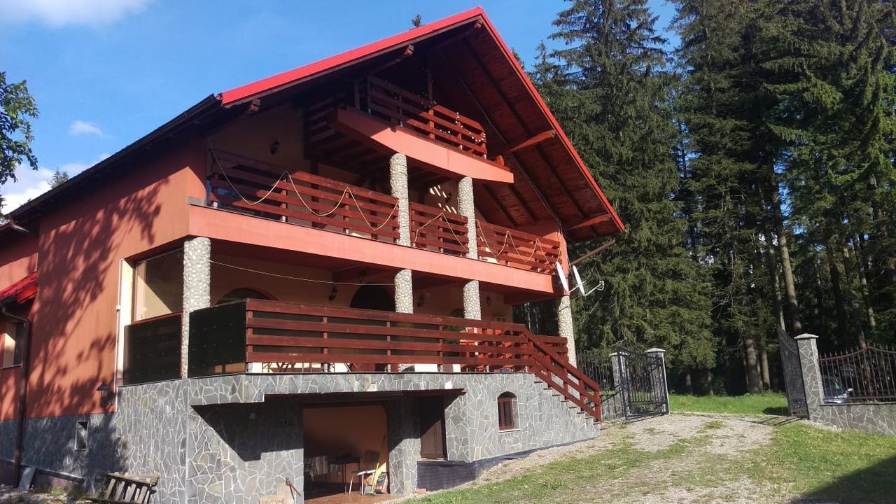 Casa De Vacanta Pârâul Rece Buitenkant foto