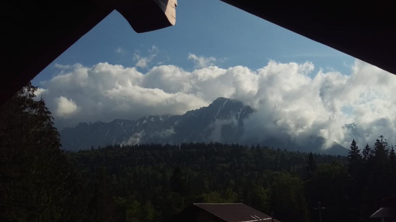 Casa De Vacanta Pârâul Rece Buitenkant foto